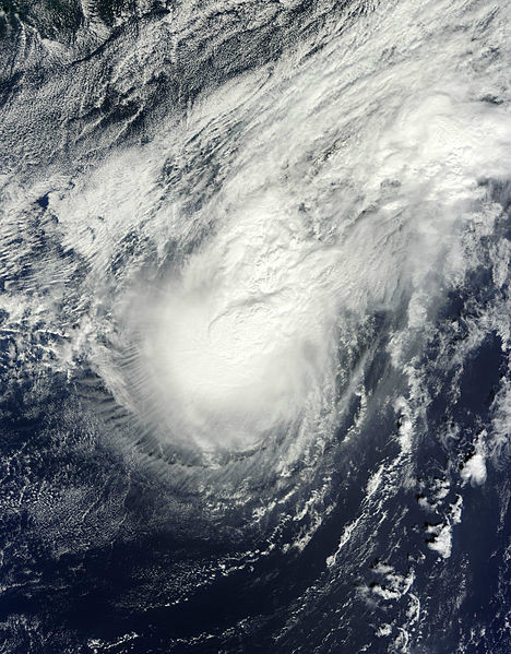 颶風費伊 衛星雲圖