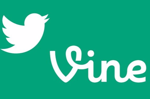 vine(微軟軟體)