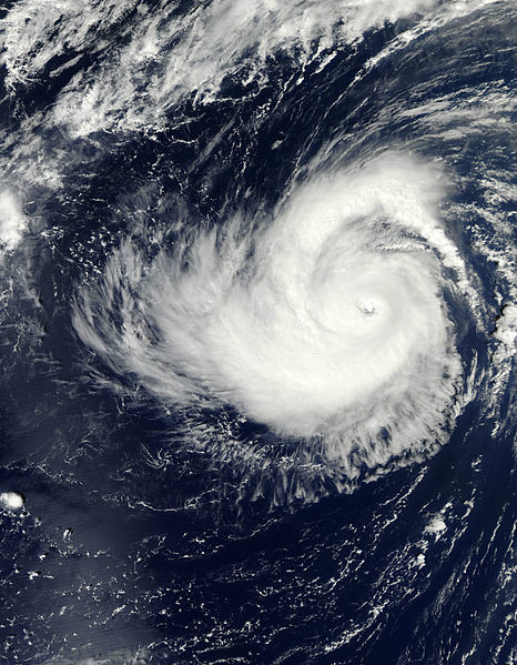 颶風愛德華 衛星雲圖