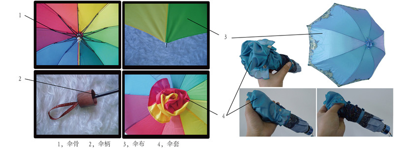 傘構造圖示