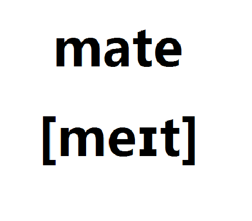 mate(FLEX 框架)