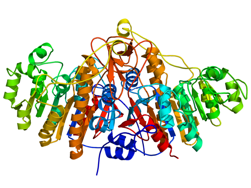 細菌ALP二級結構(藍色為N末端紅色為C末端)