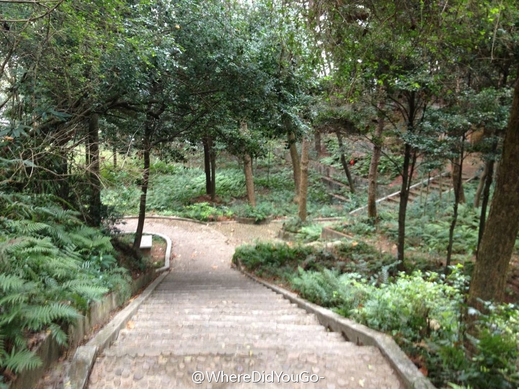 神光山國家森林公園
