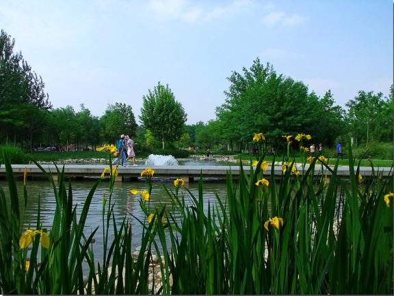 校園景色--眉湖