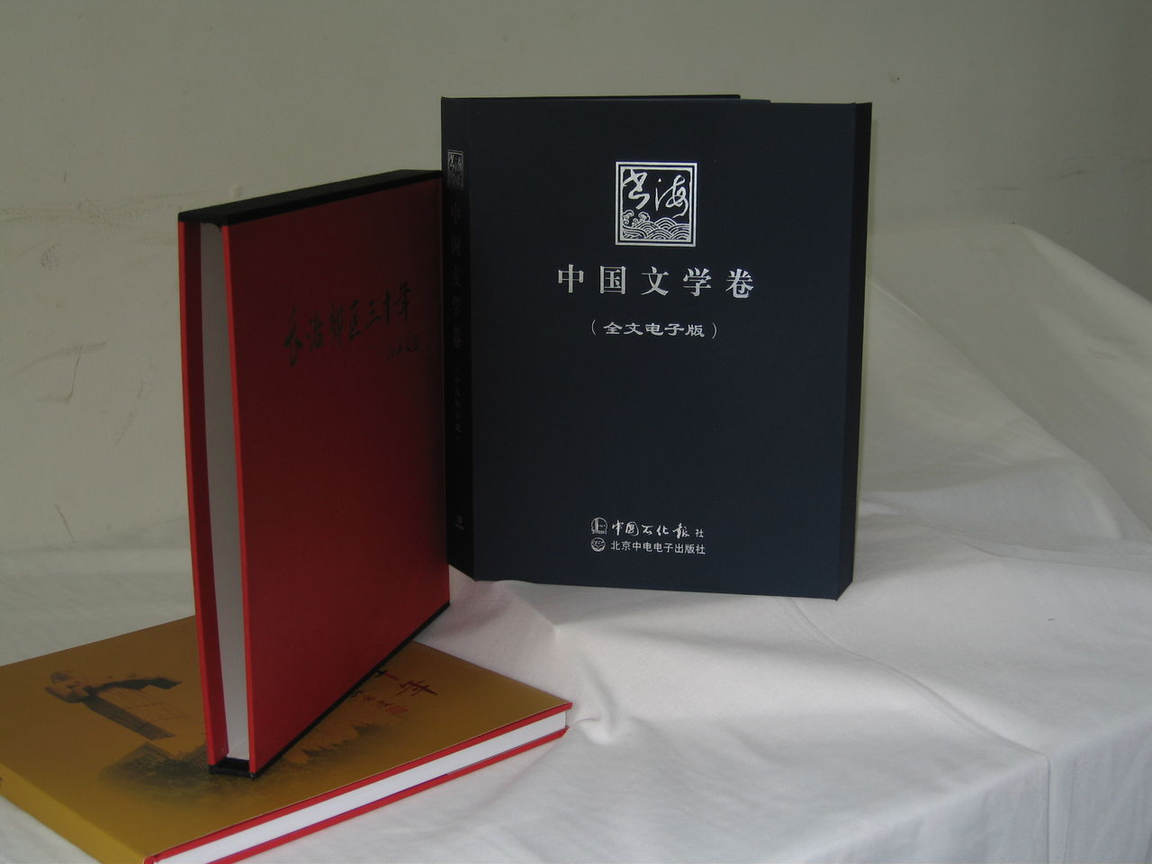 中國文學(中華民族的文學)