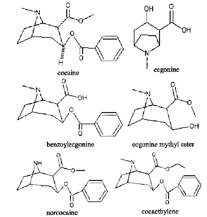 古柯鹼系列部分化合物結構式