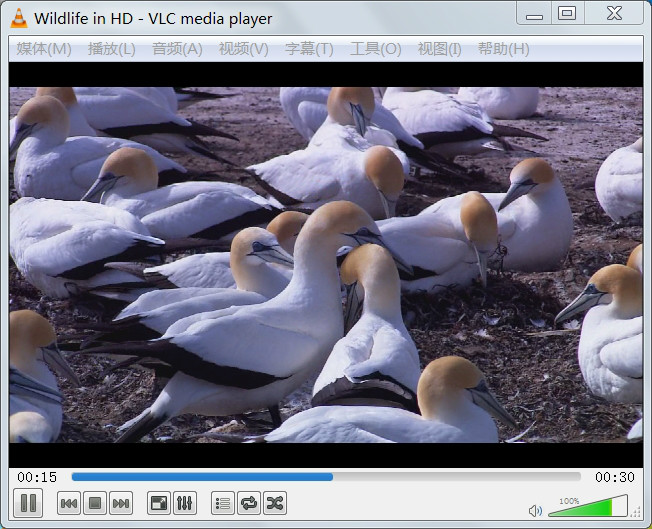 VLC Media Playe正在播放Windows7默認視頻