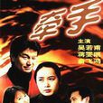 牽手(1998年楊陽執導電視連續劇)
