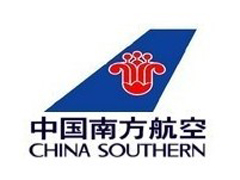 中國南方航空集團有限公司(南航（中國南方航空公司的簡稱）)