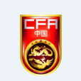 中國國家足球隊(中國足球隊)
