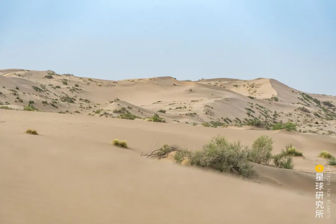 塔克拉瑪乾並非絕境？沙漠忍者的誕生！