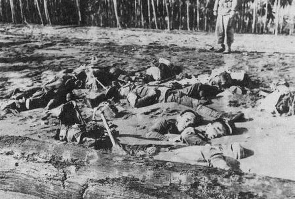 瓜島爭奪戰戰場上日軍傷亡的慘狀
