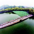 西湖斷橋(杭州西湖景點)