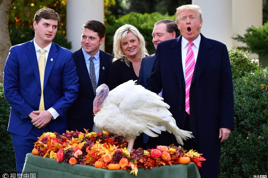 白宮舉辦火雞赦免儀式 特朗普撫摸火雞