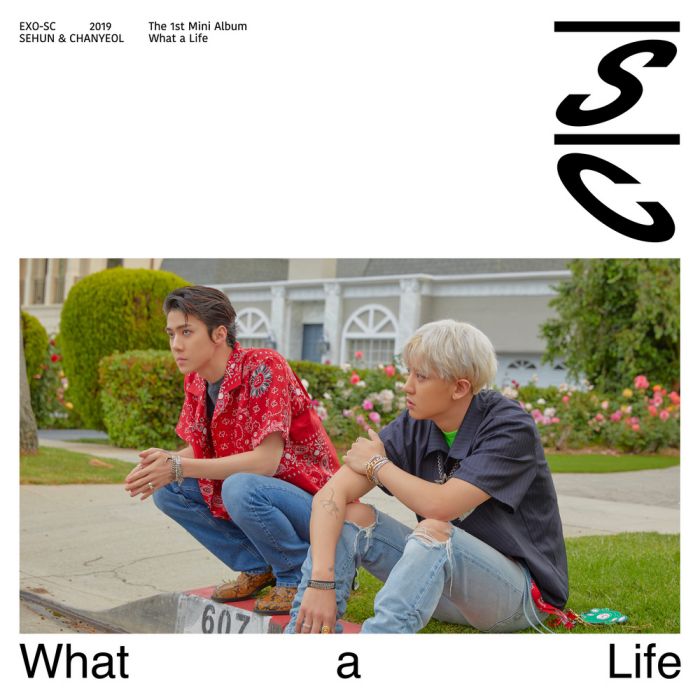 What a life(韓國男子演唱組合EXO-SC演唱歌曲) What a life(韓國男子演唱組合EXO-SC演唱歌曲)