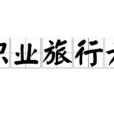 職業旅行者 職業旅行者