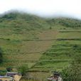 出水山村 出水山村