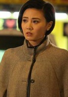 致命復活(2016年郭晉安、萬綺雯主演TVB電視劇)