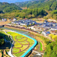 崇際村 崇際村
