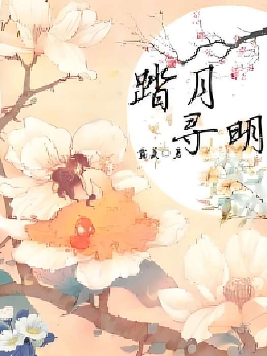 踏月尋明 踏月尋明