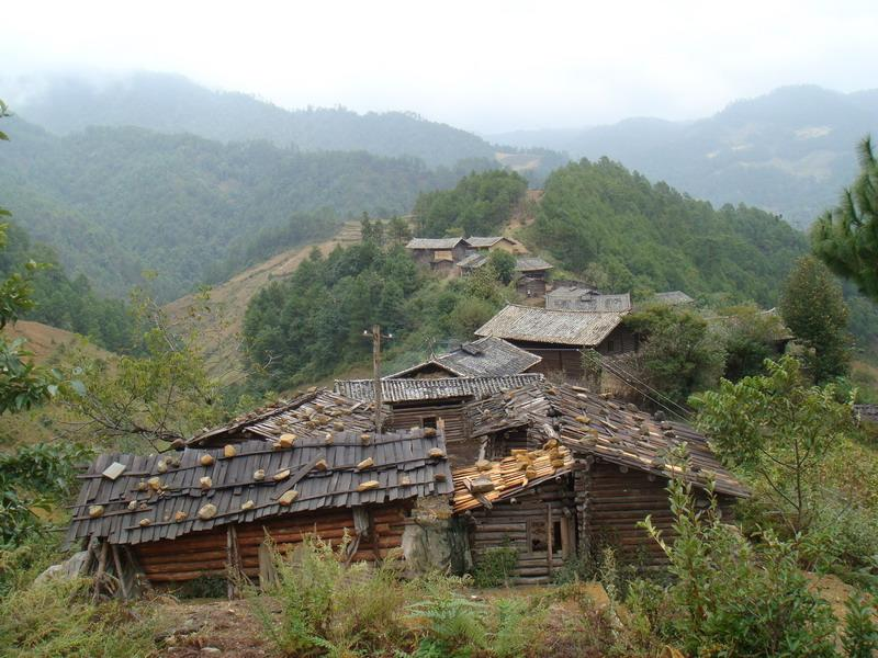 大溝下村 大溝下村