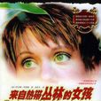 法虞人 法虞人