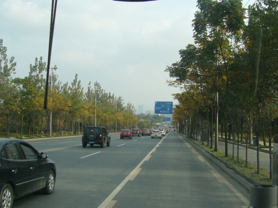 成龍大道 成龍大道