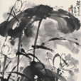 墨荷清韻 墨荷清韻