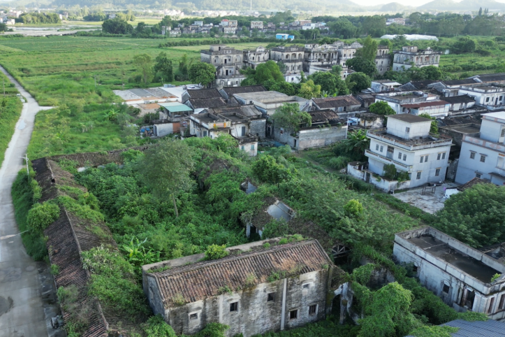 新建村(廣東省江門市開平市赤坎鎮下轄行政村) 新建村(廣東省江門市開平市赤坎鎮下轄行政村)