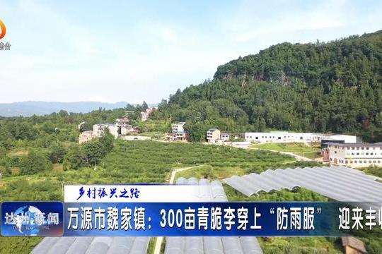 小坪子村(四川達州萬源魏家鎮下轄村) 小坪子村(四川達州萬源魏家鎮下轄村)