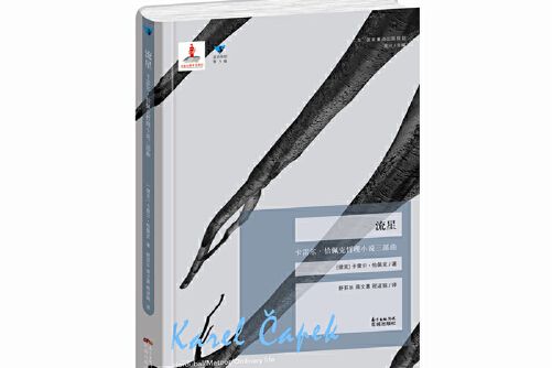 流星(2016年花城出版社出版的圖書) 流星(2016年花城出版社出版的圖書)