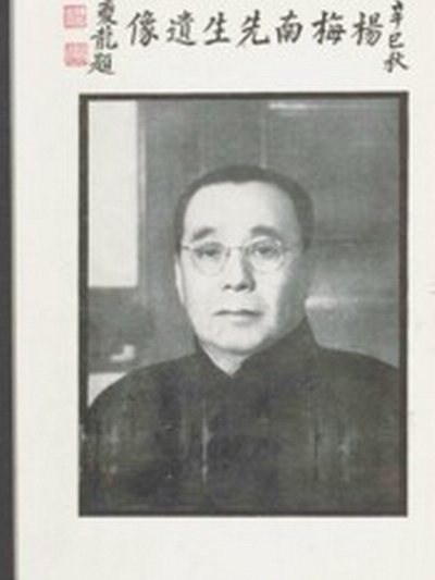 楊梅南 楊梅南