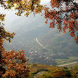 龍川鄉 龍川鄉