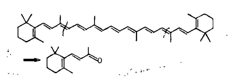 β-胡蘿蔔素的斷裂形成的合成子