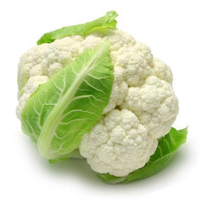 雪劍三號 雪劍三號