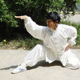 蛇拳(傳統拳術) 蛇拳(傳統拳術)