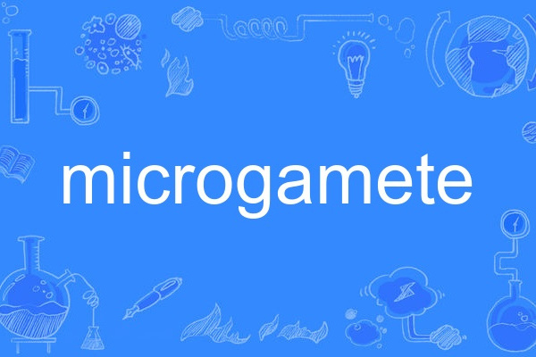 microgamete microgamete