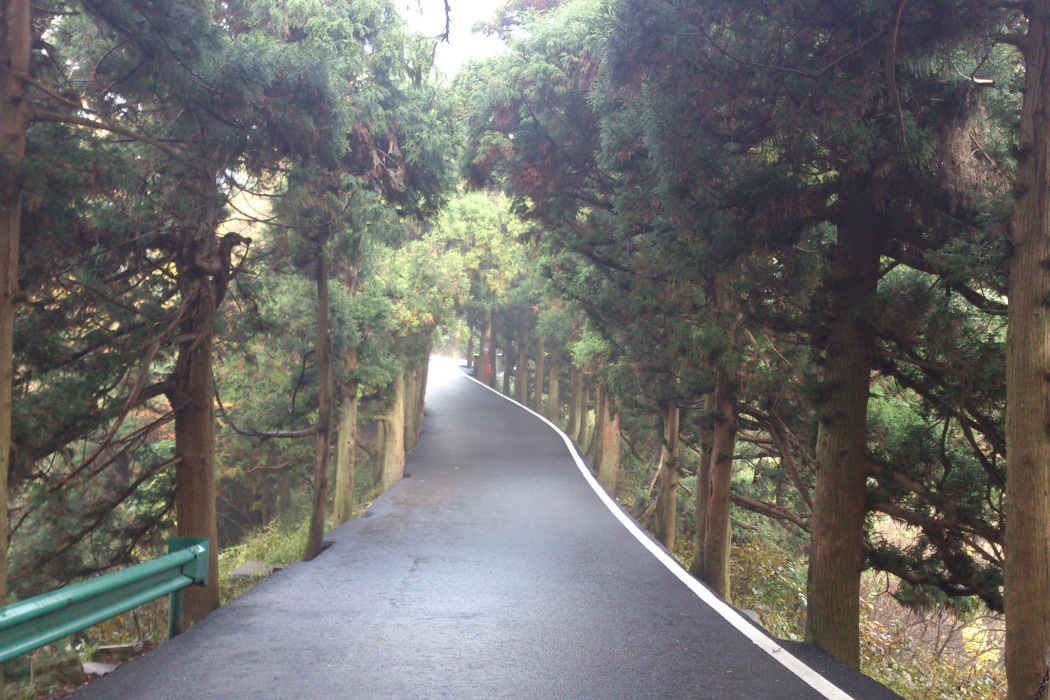 鳳凰峰路 鳳凰峰路