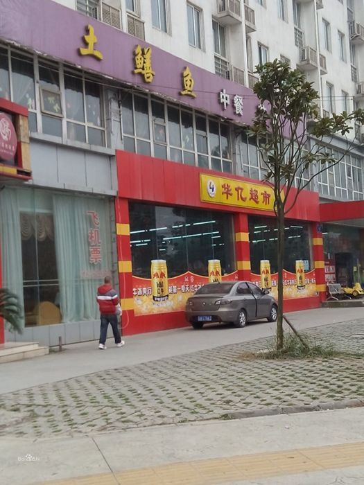 土鱔魚 土鱔魚