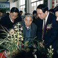 馬性遠 馬性遠