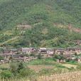 石旮旯村(雲南省姚安縣大河口鄉大櫟樹村石旮旯村) 石旮旯村(雲南省姚安縣大河口鄉大櫟樹村石旮旯村)