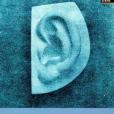 The Torch in My Ear