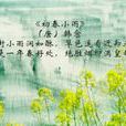 初春小雨 初春小雨