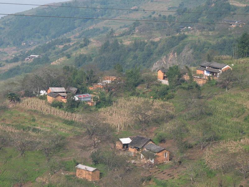 羊卷坪村 羊卷坪村