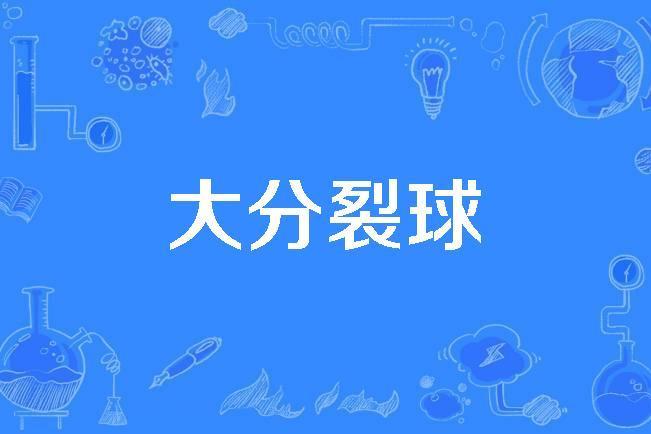 大分裂球 大分裂球