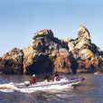 老君島 老君島