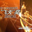 第20屆中國電視劇飛天獎