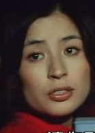 追捕(1976年高倉健主演電影)