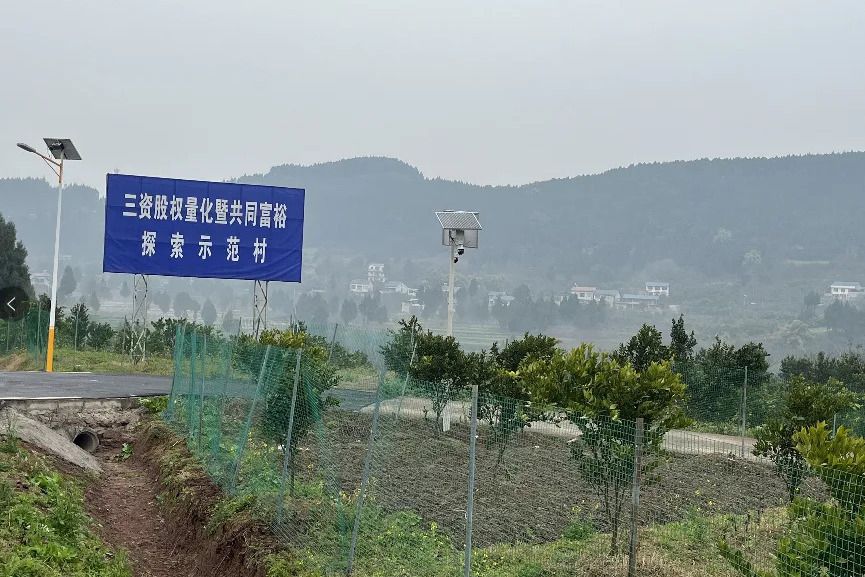 大霧村 大霧村