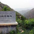 虞坂